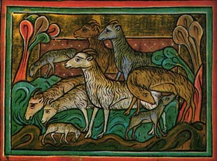 Schafe, London Bestiary, 13. JH.